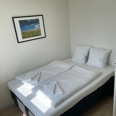 Marsk 6b, 1 - Tv * Højer